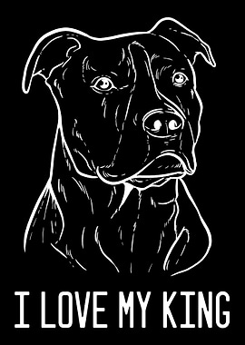 American Pitbull Terrier K