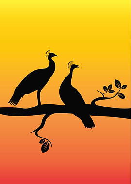 silhouette peacock