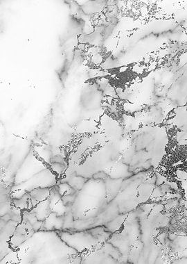 Silver Marble 03