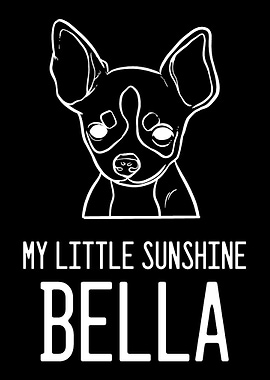 Chihuahua Bella Chihuahua