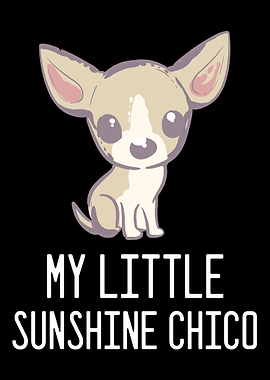 Chihuahua Chico Pet Lover