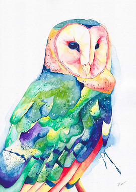 Elodie the Barn Owl