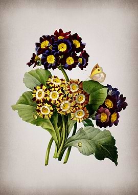 Vintage Antique Flower