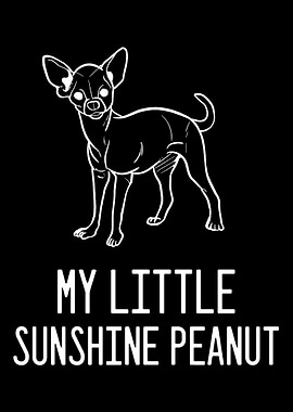 Chihuahua Peanut Dog Keepe