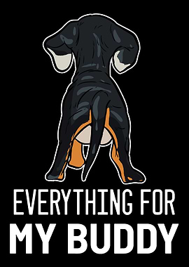 Dachshund Buddy Dog Owner