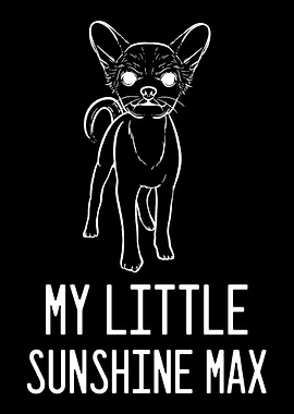 Chihuahua Max Pet Person G