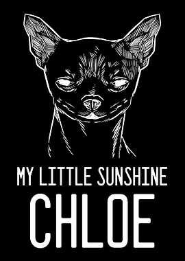 Chihuahua Chloe Animal Res
