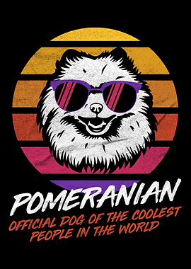 Coolest Dog Pomeranian