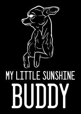 Chihuahua Buddy Chihuahua