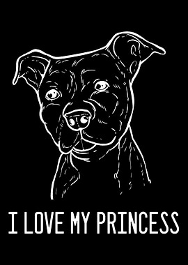 American Pitbull Terrier P