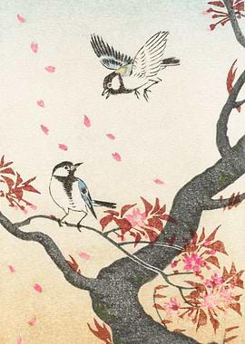 Two great tits at blossoming tree