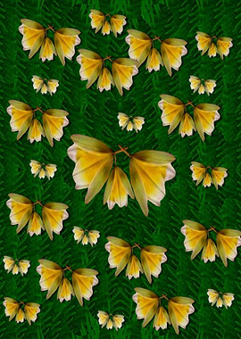 free frangipani in plumeri