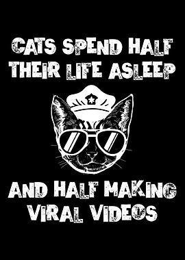 Cat Spend Half Life Asleep