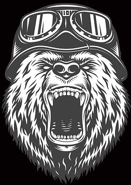 bear bears costume gang