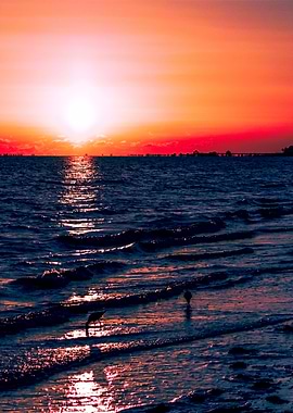 Sunset Photography Florida