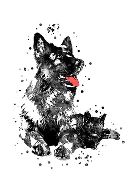 German Shepherd and cat