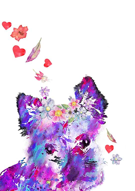 Yorkshire Terrier peeking