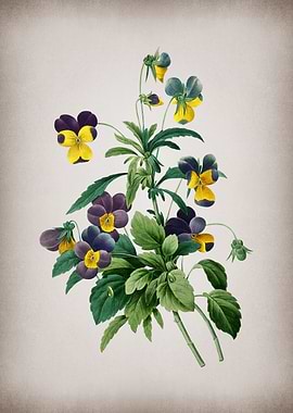 Vintage Johnny Jump Up