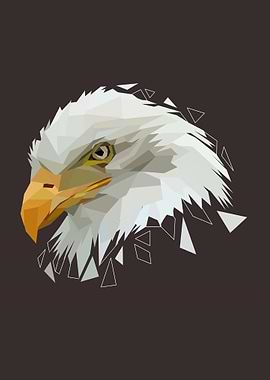 eagle with low poly art