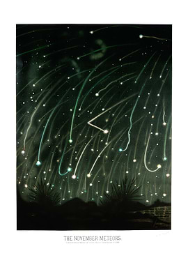 The November meteors
