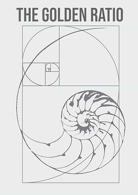 the golden ratio nautilus