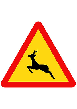 Vietnamese Road Sign