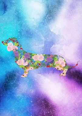 Floral Dachshund Scratched