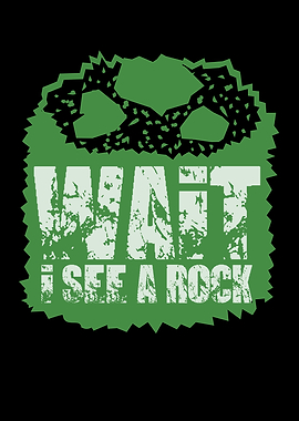 Wait I See A Rock