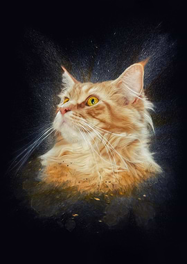 Maine Coon