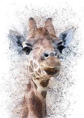 Shattered Giraffe