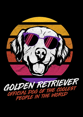 Coolest Golden Retriever
