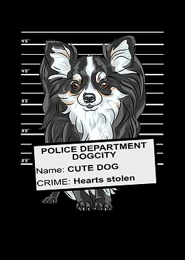 Sweet Chihuahua Mugshot