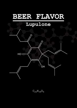 Beer Flavor Lupulone