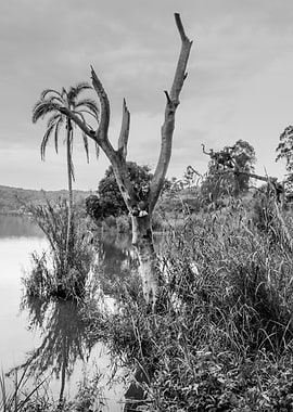 Lake at sunrise Uganda