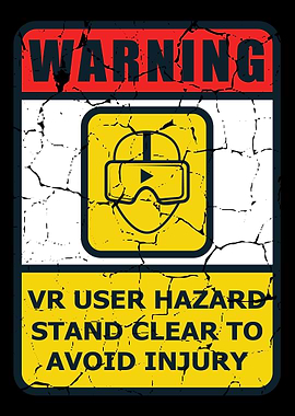 VR Player Electronic Gamer