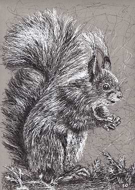 squirrel in scribble art