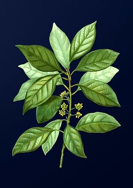 Vintage Branch Painting