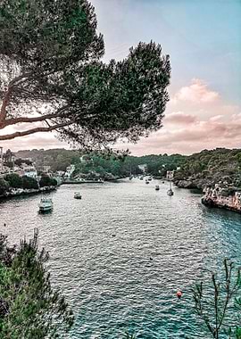 Cala Figuera Mallorca