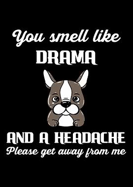 Smell Like Drama Headache