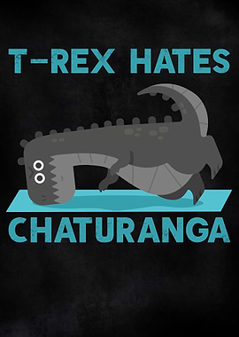 Funny T Rex Dino Yoga Pun