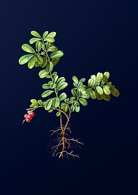 Vintage Branch Painting