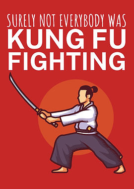Kung fu fighting