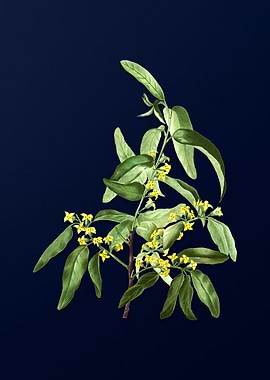 Vintage Branch Painting