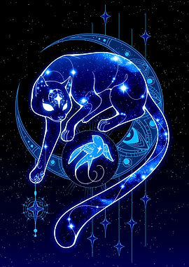 North Star and a Stowaway