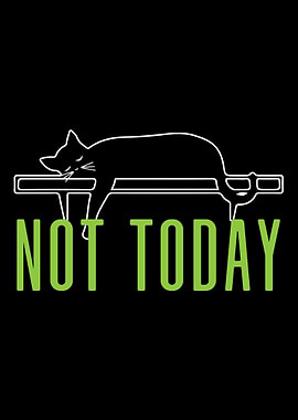 Not today cat