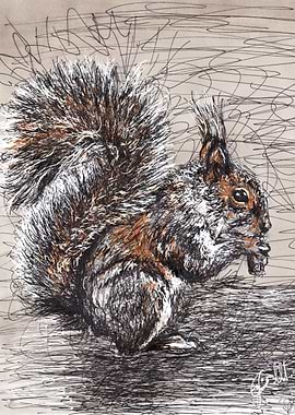 squirrel scribble art