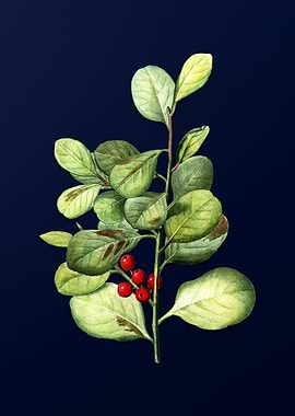 Vintage Branch Painting