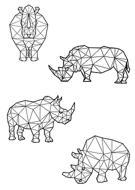 Polygon Rhino
