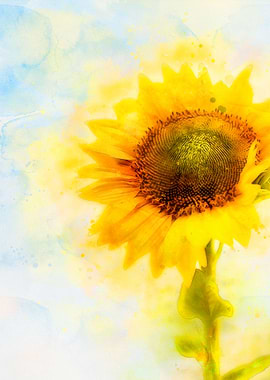 Sunflower Painting