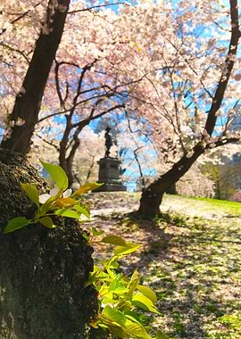 Central Park Spring Statue